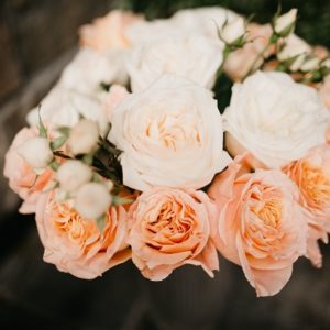 Photo Credit Kim Jay Photography